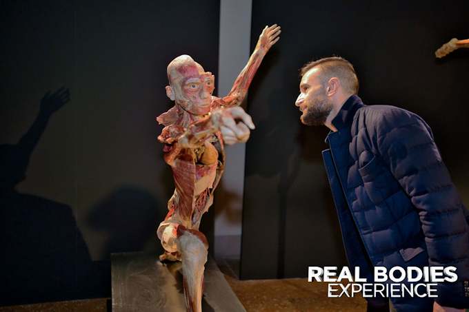 Real Bodies Experience