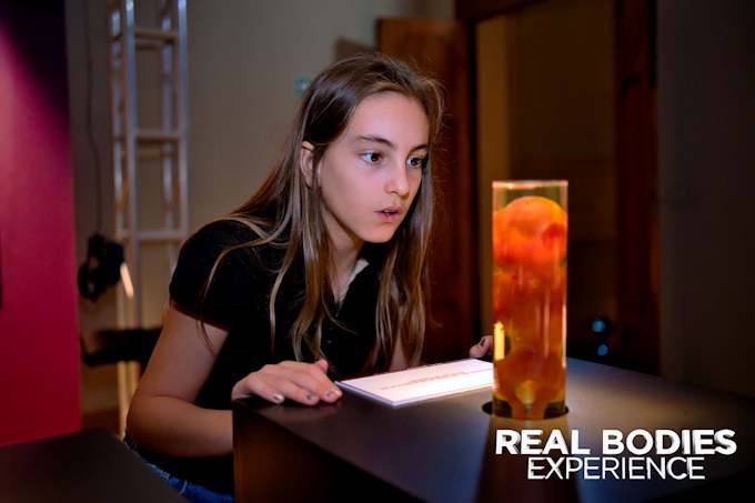 Real Bodies Experience