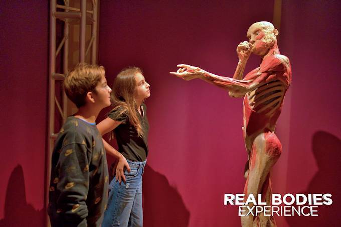 Real Bodies Experience