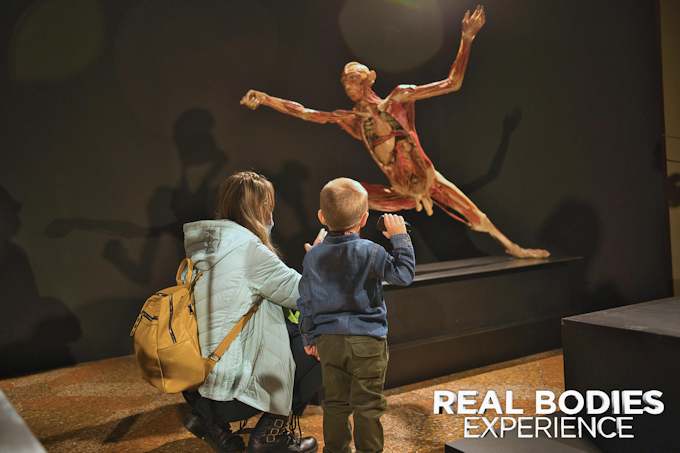 
Real Bodies Experience