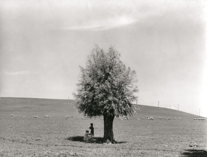 Bruges (Belgio), Il beguinage, 1960 - &copy; Fondazione