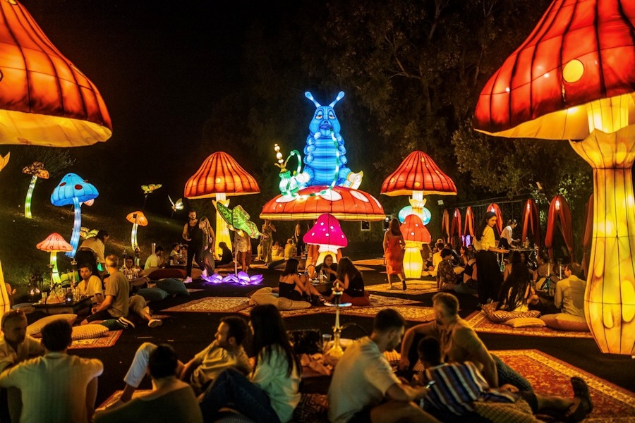 This is Wonderland - Alice