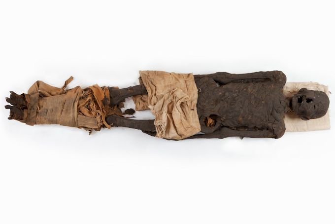 Mummia antropica maschile di ignoto