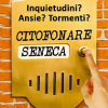 Citofonare Seneca