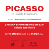 PICASSO. Lo Sguardo Rivoluzionario