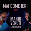 Mario Venuti