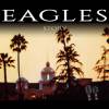Eagles Story