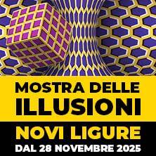 Mostra delle Illusioni