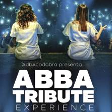 Abba tribute experience
