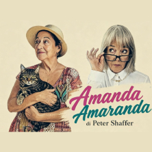 Biglietti Amanda Amaranda