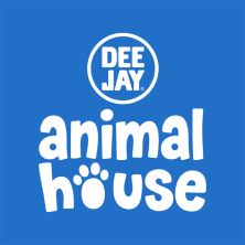 ANIMAL HOUSE LIVE