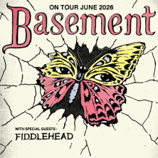 Basement + Fiddlehead