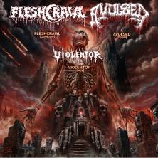 Fleshcrawl