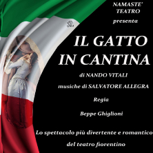 Il gatto in cantina