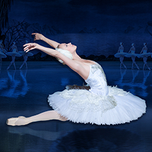 Il Lago dei Cigni - International Classical Ballet of Ukraine