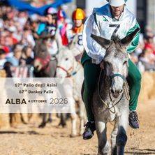 Palio degli Asini - Donkey Palio