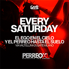 PERREO XL