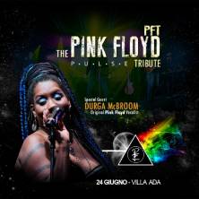 PTF –The Pink Floyd -Pulse Live