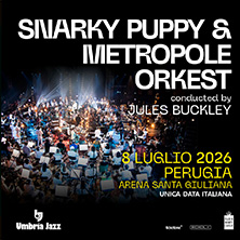 Snarky Puppy