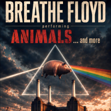 Biglietti Animals... and more