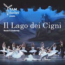 Il lago dei cigni - TAM Ballet