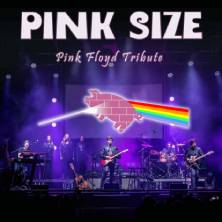 Pink Size - Pink Floyd Tribute