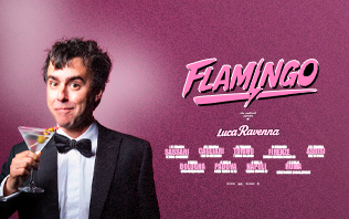 Luca Ravenna - Flamingo 2027